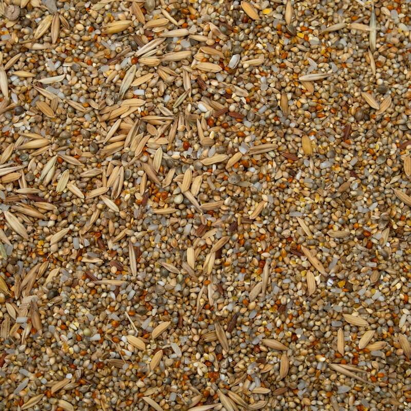 Scratch Grains